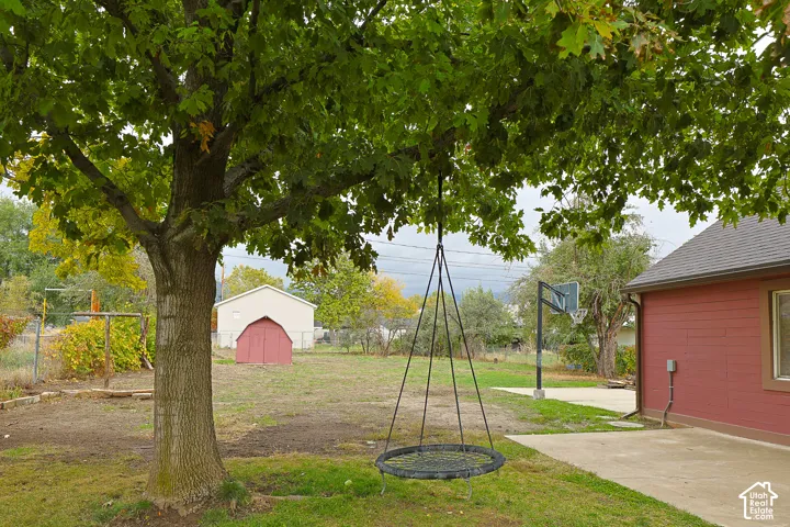 Expansive backyard featuring a mature shade tree, concrete patio, and detached storage shed