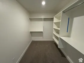 Walk-in closet featuring wall-to-wall carpeting and custom built-in white shelving and hanging rods