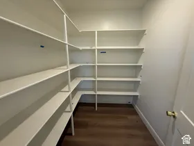 Walk-in pantry featuring L-shaped wrap-around shelving and wood-finish flooring