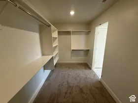 Walk-in closet featuring wall-to-wall carpeting, tiered built-in shelving, and dual-level hanging rods