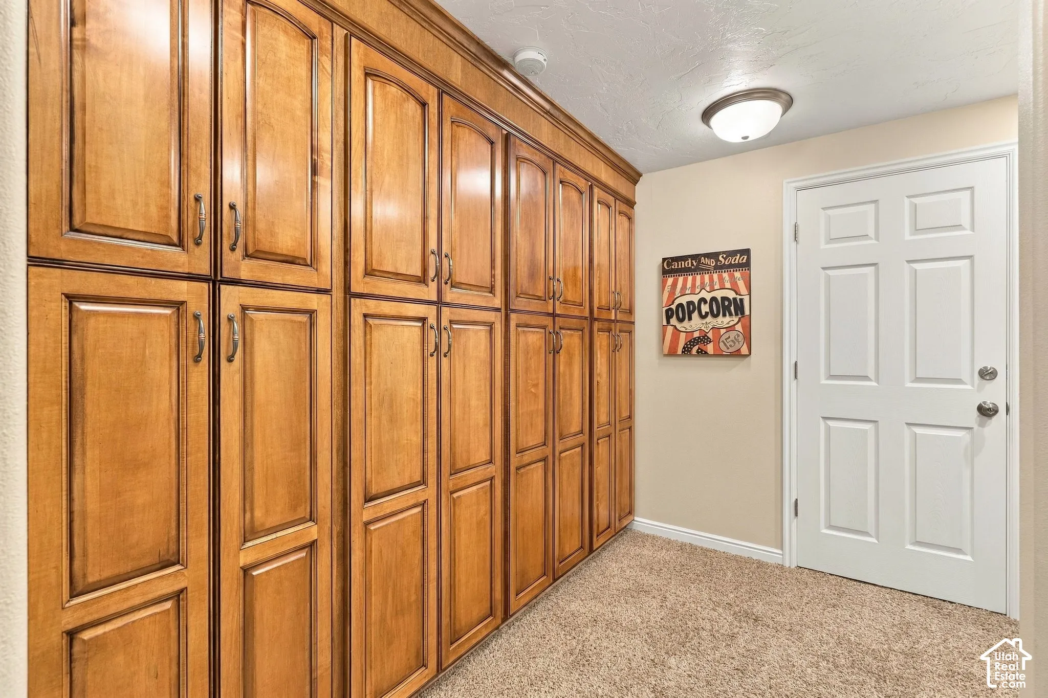 Wall-to-wall built-in cabinetry featuring raised-panel wood doors, brushed metal hardware, wall-to-wall carpeting, and a flush-mount ceiling light fixture