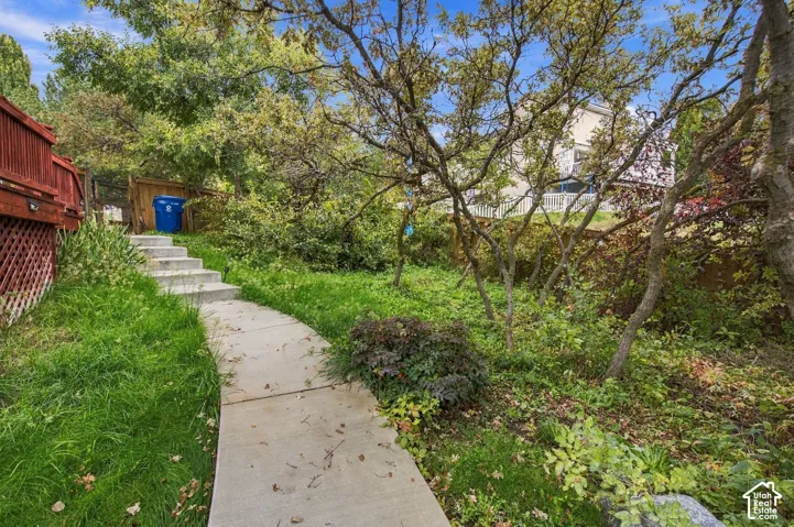 Concrete pathway with integrated stairs, mature trees, and wooden lattice-skirted deck