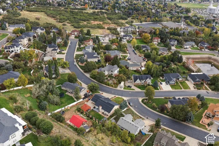Aerial perspective of a residential neighborhood featuring paved streets, mature trees, manicured lawns, and varied architectural styles