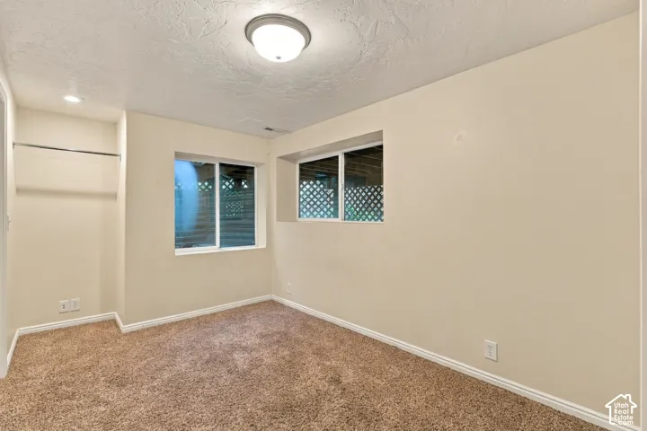 Room featuring wall-to-wall carpeting, dual sliding windows, and a built-in closet rod