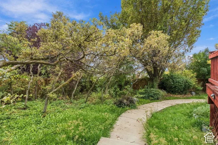 Backyard garden featuring a curved concrete walkway, established deciduous trees, mature shrubbery, and a wood-slat privacy fence