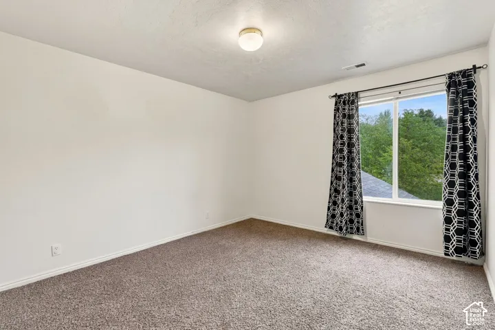 Neutral-toned carpeted flooring, white walls, and a window providing exterior greenery