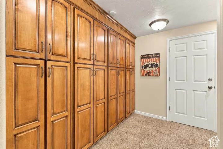 Wall-to-wall built-in cabinetry featuring raised-panel wood doors, brushed metal hardware, wall-to-wall carpeting, and a flush-mount ceiling light fixture