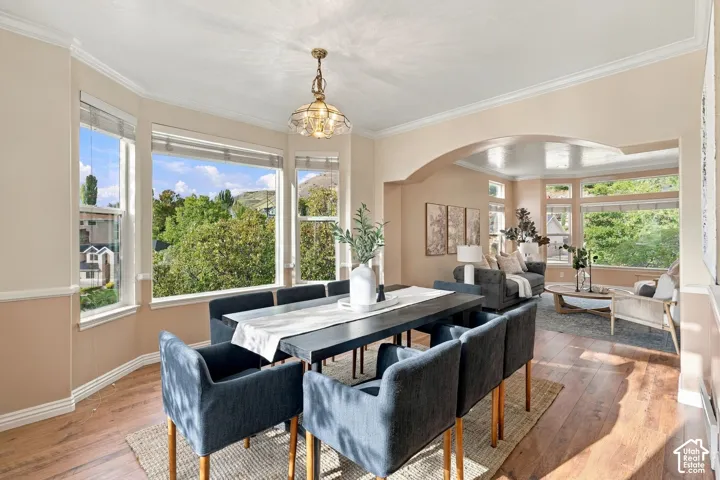 Dining area featuring wood-finish flooring, a decorative pendant light fixture, extensive bay windows, and a wide arched entryway