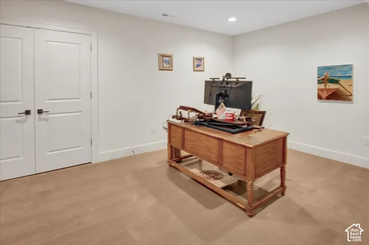 Plush carpeting and recessed lighting