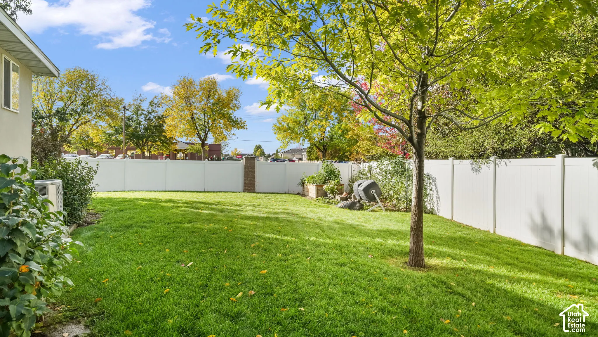 Large backyard