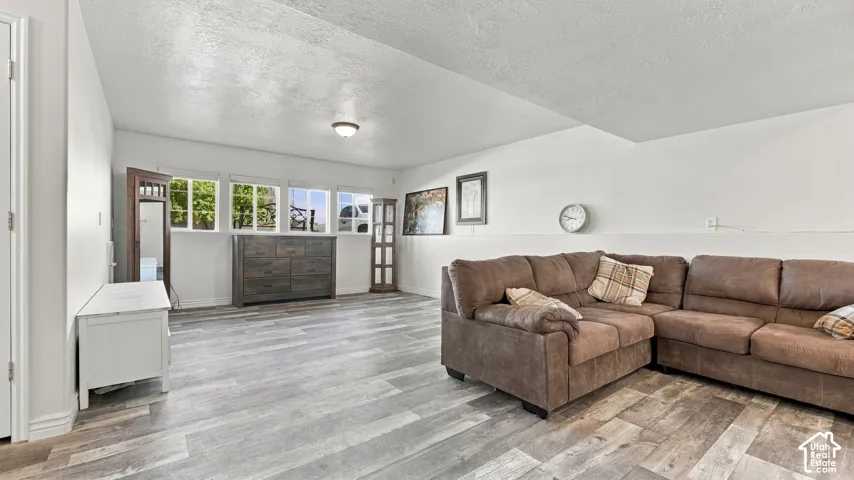 Open-concept room featuring wood-finish flooring, multi-pane windows, and a flush-mount ceiling light