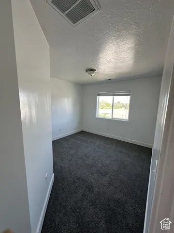 Neutral interior space featuring carpeted flooring, a single-pane window with horizontal blinds, and a ceiling-mounted light fixture