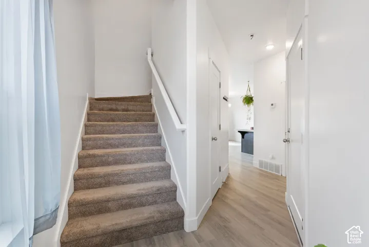 Carpeted staircase with white handrail, wood-finish flooring, and crisp white interior doors