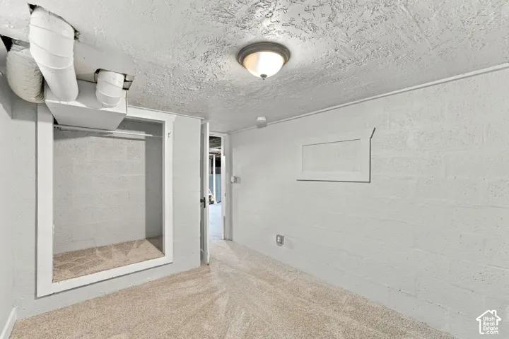 Finished space featuring neutral-toned carpeting, white-painted masonry walls, textured ceiling, and built-in closet storage
