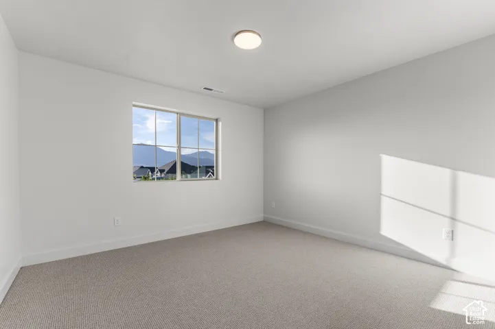 Neutral-toned wall-to-wall carpeting, clean white wall finishes, flush-mount overhead lighting, and a multi-pane window featuring mountain scenery