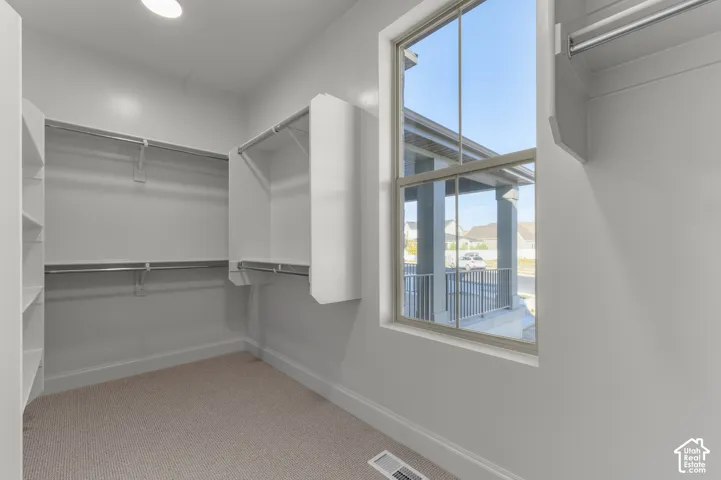 Walk-in closet featuring white built-in shelving, multi-level clothing rods, wall-to-wall carpeting, and a large window