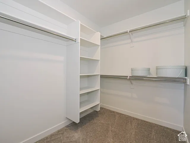 Walk-in closet featuring white built-in shelving, dual-tier metal hanging rods, and neutral carpeting