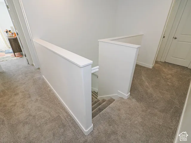 Neutral wall-to-wall carpeting, staircase with solid wall guardrails, and white six-panel interior doors