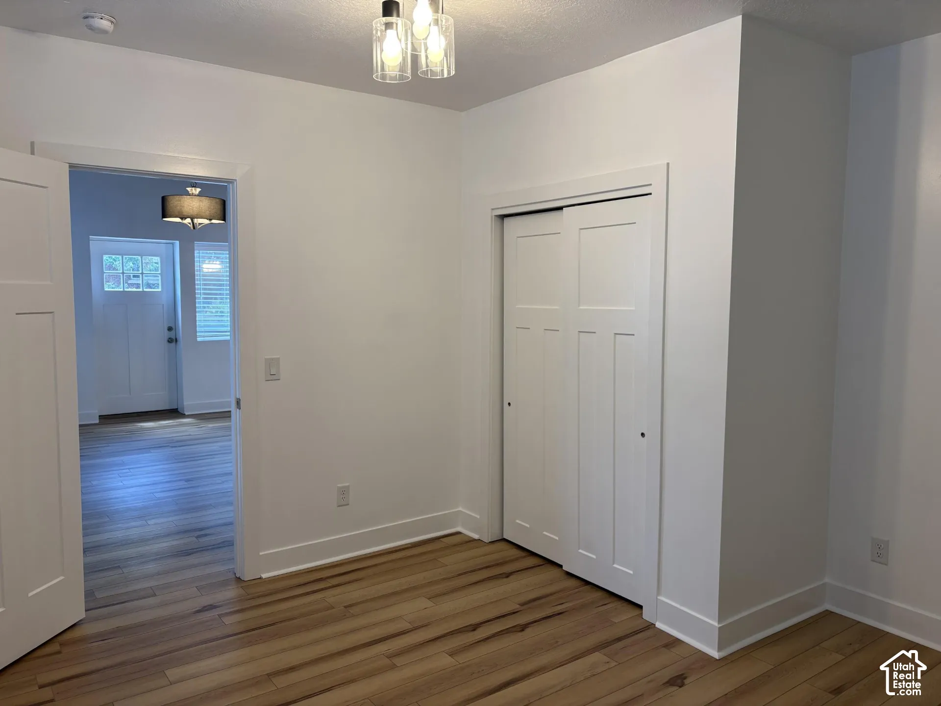 Wood-finish flooring, white panel interior doors, closet with sliding doors, and three-bulb industrial-style flush mount lighting fixture