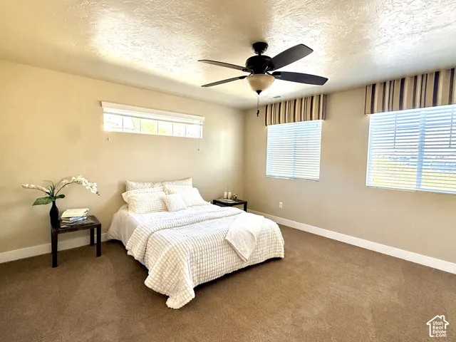 Freshly painted neutral-toned interior featuring wall-to-wall carpeting, three windows with horizontal blinds, upgraded fabric valances, and a central ceiling fan with an integrated light fixture