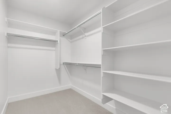 Walk-in closet featuring floor-to-ceiling built-in shelving, multi-level hanging rods, and neutral carpeted flooring