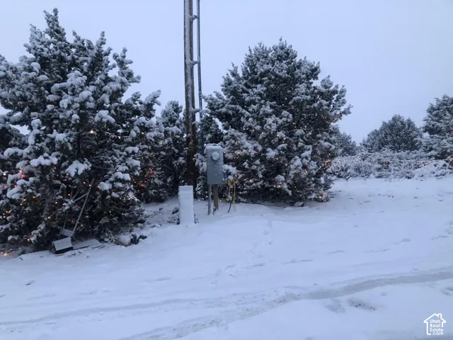 Utility connection post with electrical meter and established evergreen vegetation