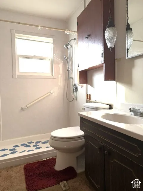 Bathroom featuring a single-sink vanity and a step-in shower enclosure with a handheld shower fixture