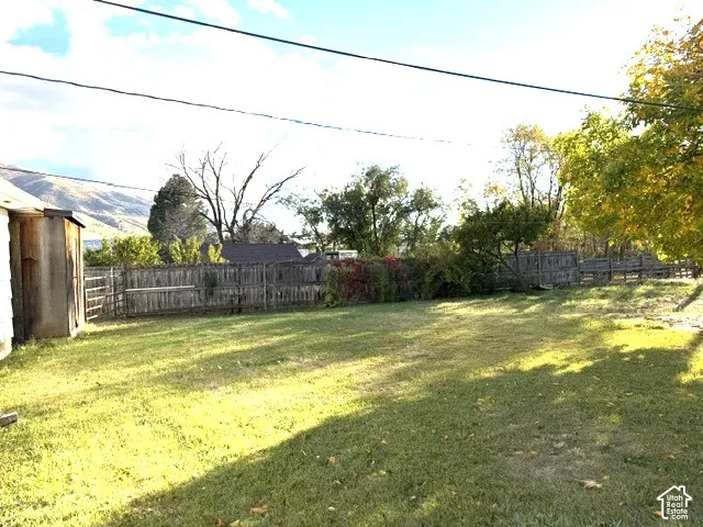 Backyard