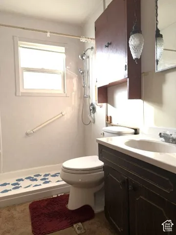 Bathroom featuring a single-sink vanity and a step-in shower enclosure with a handheld shower fixture