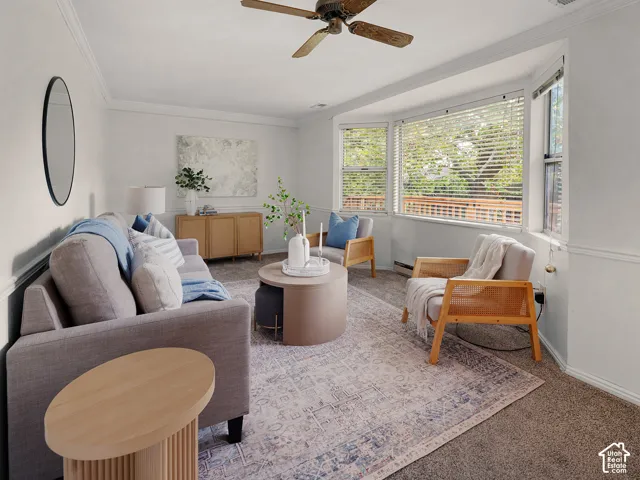 Sun-filled family room