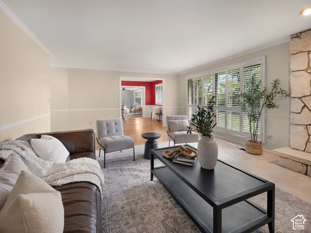 Sunlit living room