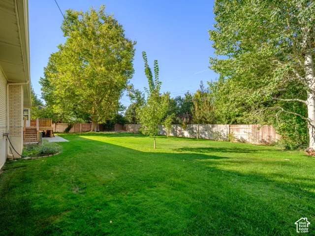 Expansive green area