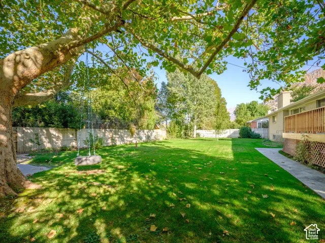 Stunning large backyard