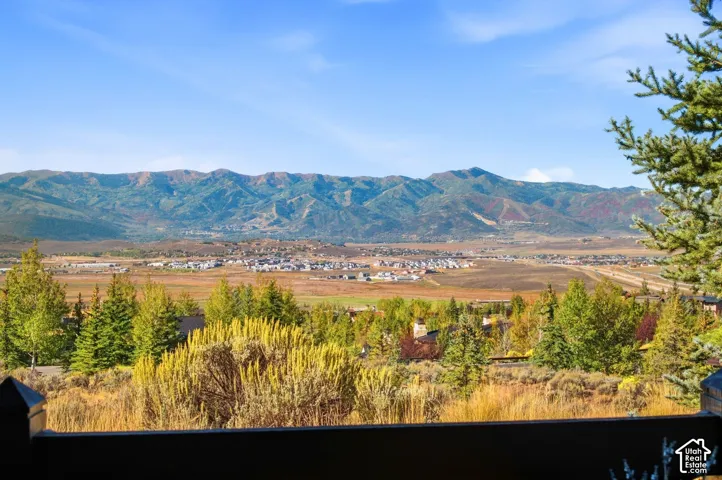 Panoramic mountain backdrop featuring vast ridgelines, sweeping valley terrain, and mature evergreen and deciduous trees