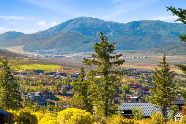 Expansive mountain landscape featuring prominent peaks, mature evergreen trees, indigenous shrubbery, and rolling terrain