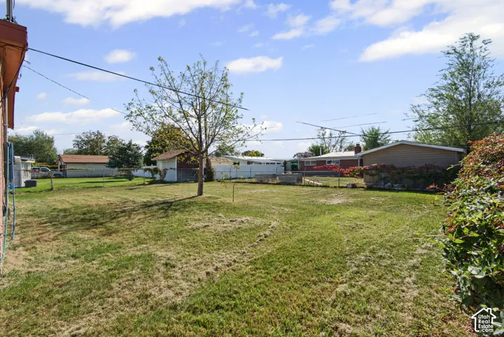 Expansive backyard featuring an open grass lawn, mature trees, a chain-link fence, and a detached structure