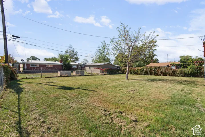 Expansive backyard featuring a fenced perimeter, mature trees, and open lawn space