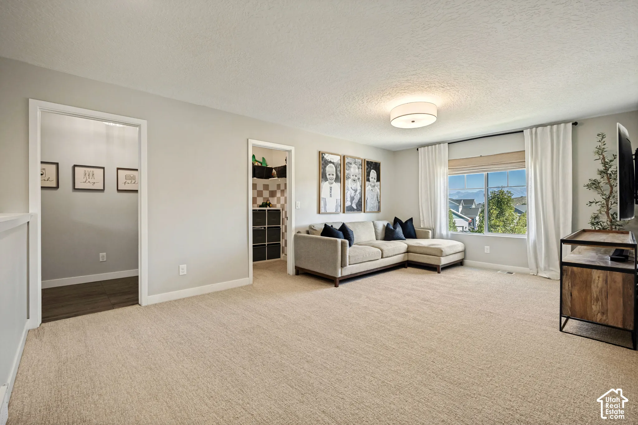 Neutral-toned interior featuring wall-to-wall carpeting, a multi-pane window with natural light, and a central flush-mount light fixture