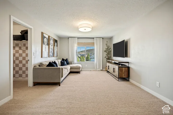 Neutral wall color, carpeted flooring, flush-mount lighting, and natural light from a window with exterior mountain scenery