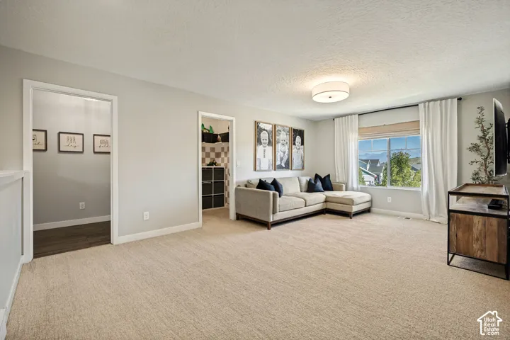 Neutral-toned interior featuring wall-to-wall carpeting, a multi-pane window with natural light, and a central flush-mount light fixture
