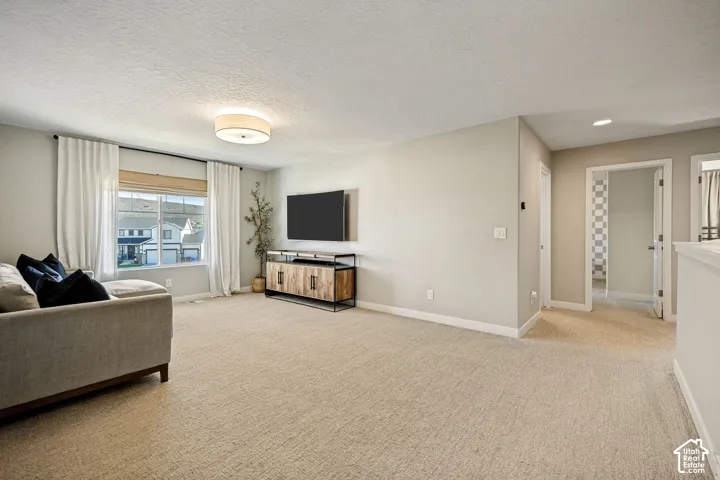 Neutral-toned wall paint, neutral carpeting, flush-mount lighting, and natural light through a single-pane window
