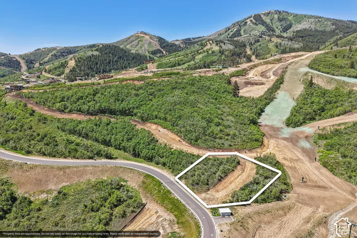 Undeveloped parcel featuring mountainous terrain, mature trees, and paved road access