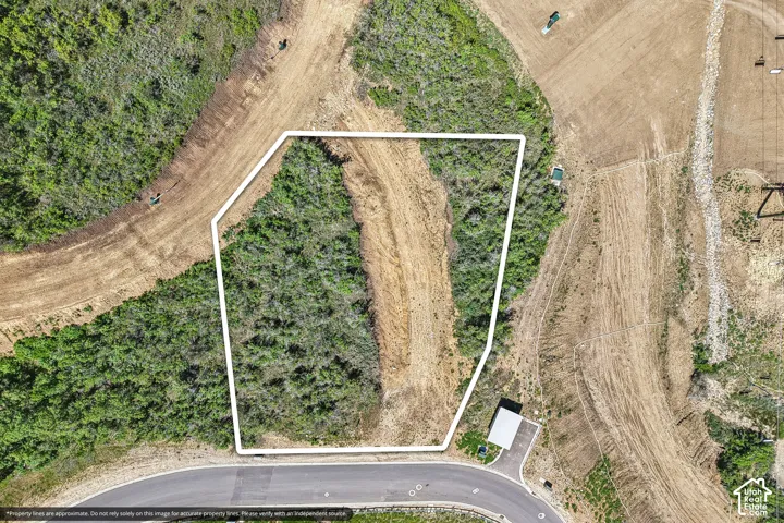 Cleared vacant land lot featuring established road access and native vegetation