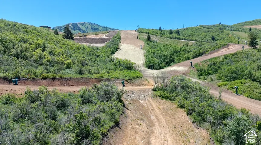 Expansive mountainside lot featuring native vegetation, rolling topography, and direct proximity to mountainous terrain