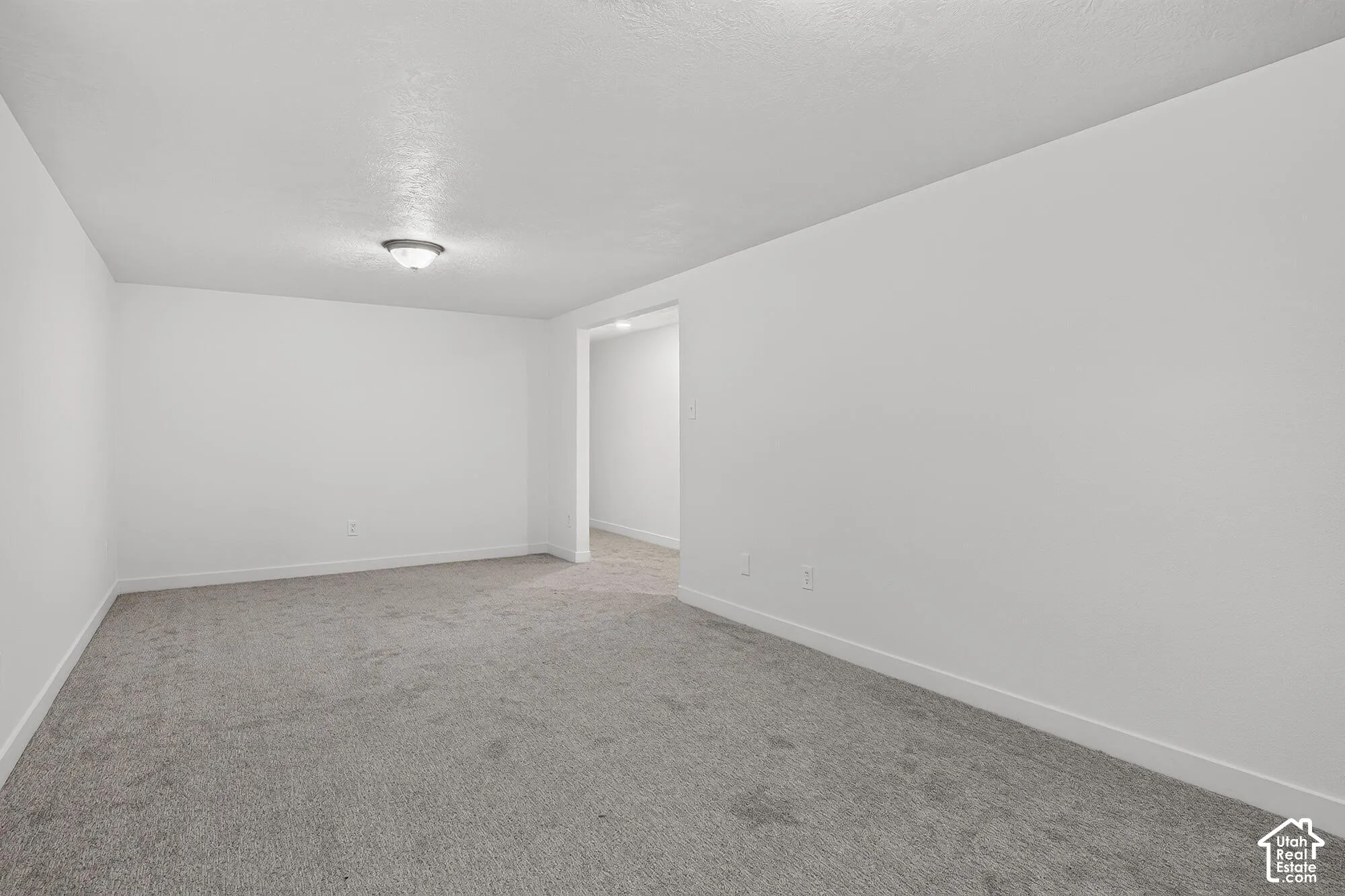 Neutral-toned carpeting, minimalist walls, and ceiling-mounted dome light fixture