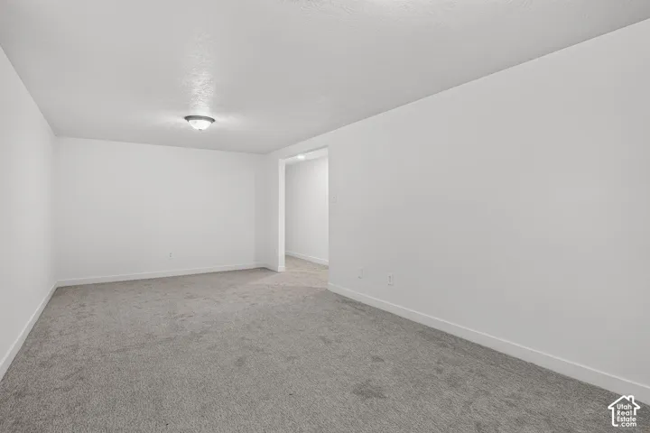 Neutral-toned carpeting, minimalist walls, and ceiling-mounted dome light fixture