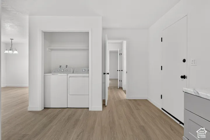 Laundry closet featuring built-in shelving, wood-finish flooring, and crisp white interior paint