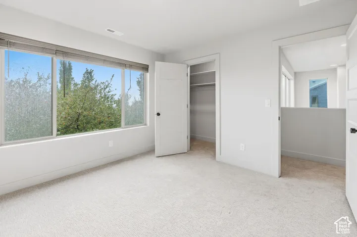 Neutral carpeting, expansive multi-pane window, walk-in closet with built-in shelving, and shaker-style interior doors
