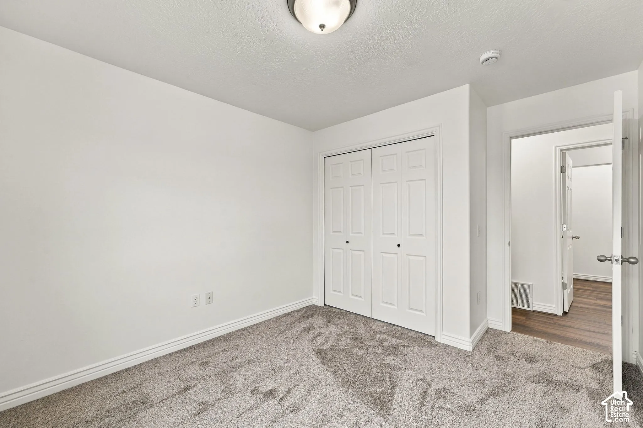 Neutral wall finishes, textured carpeting, closet with paneled double doors, and ceiling-mounted light fixture