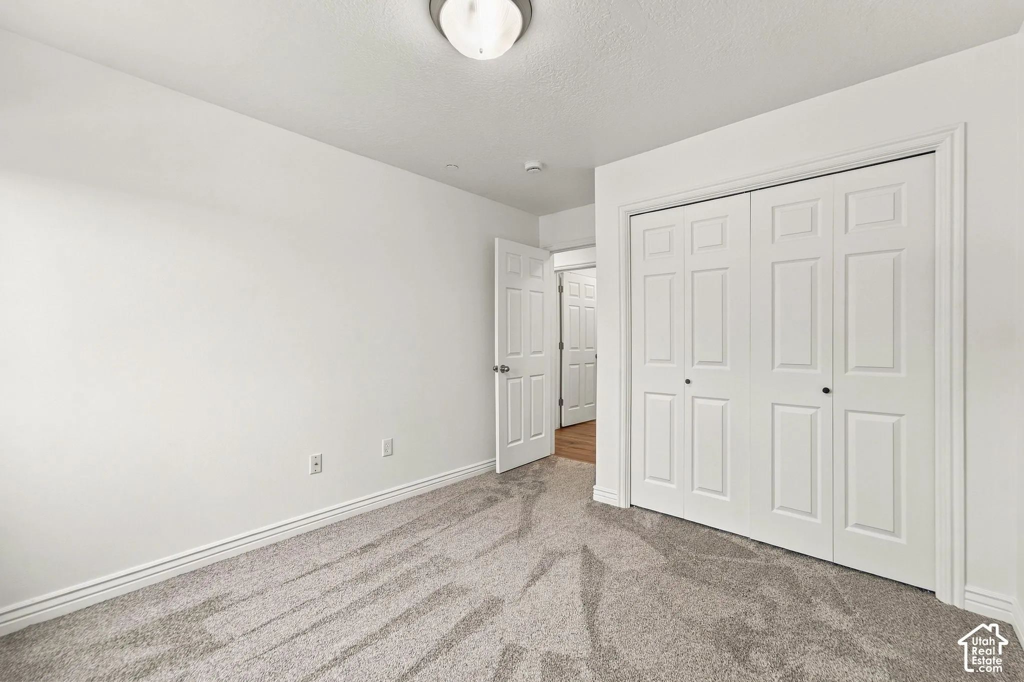 Neutral-toned carpeting, white walls, flush-mount ceiling lighting, and a double-panel closet with white doors